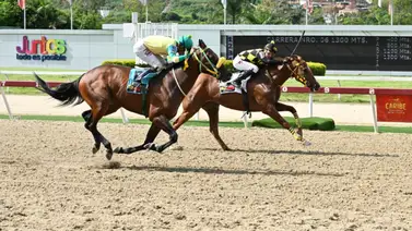 Descubre el regreso a La Rinconada de un ejemplar considerado fijo después de 245 días sin competir Descubre el regreso a La Rinconada de un ejemplar considerado fijo después de 245 días sin competir