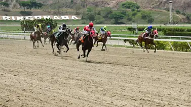 Yegua con gran oportunidad de ganar y sorprender reaparece tras 266 días a La Rinconada Yegua con gran oportunidad de ganar y sorprender reaparece tras 266 días a La Rinconada