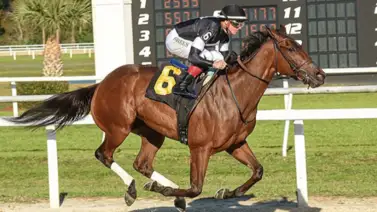 Jaramillo y Kikito juntos en un stakes de 215 mil dólares camino al Kentucky Oaks Jaramillo y Kikito juntos en un stakes de 215 mil dólares camino al Kentucky Oaks