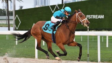 Emisael Jaramillo y sus primeras montas en Gulfstream Park luego de la jornada en la Saudí Cup