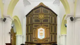 Hito académico: Trillizos hacen historia en la ULA tras graduarse como médicos cirujanos