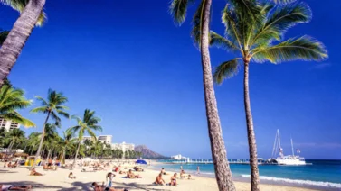 EEUU | Estas son las mejores playas para visitar durante los carnavales