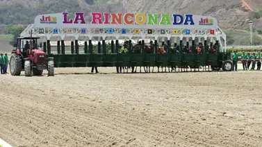 La Rinconada en alerta tras el debut de un potro nieto de un memorable triplecoronado La Rinconada en alerta tras el debut de un potro nieto de un memorable triplecoronado