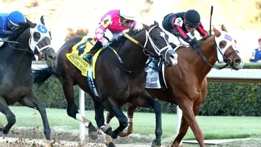 Alexander Helios entre dos liquida los 500 mil dólares del Razorback en Oaklawn Alexander Helios entre dos liquida los 500 mil dólares del Razorback en Oaklawn