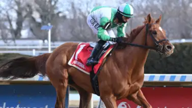 Javier Castellano busca sorprender en los 300 mil dólares del Gotham Stakes camino al Kentucky Derby Javier Castellano busca sorprender en los 300 mil dólares del Gotham Stakes camino al Kentucky Derby