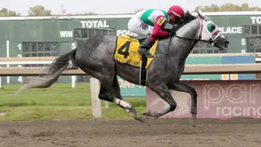 Mychel Sánchez suma y se mantiene líder en Parx Racing Mychel Sánchez suma y se mantiene líder en Parx Racing