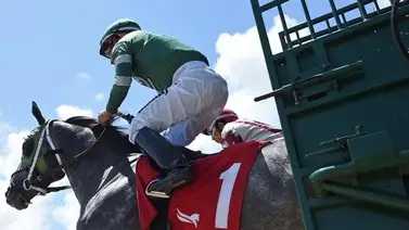 Aquí el Best Best y los Picks para la jornada en Gulfstream Park 26-2-2025 (+retirados) Aquí el Best Best y los Picks para la jornada en Gulfstream Park 26-2-2025 (+retirados)