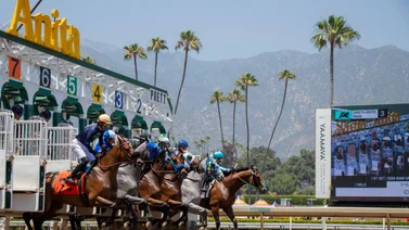 Más de 1 millón de dólares en cuatro Stakes el sábado en Santa Anita Park