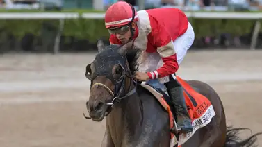El Fountain of Youth en Gulfstream Park promete final inesperado El Fountain of Youth en Gulfstream Park promete final inesperado