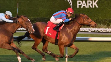 Junior Alvarado montará en siete Stakes el sábado el Gulfstream Park (+Listado)