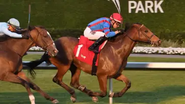 Junior Alvarado montará en siete Stakes el sábado el Gulfstream Park (+Listado) Junior Alvarado montará en siete Stakes el sábado el Gulfstream Park (+Listado)