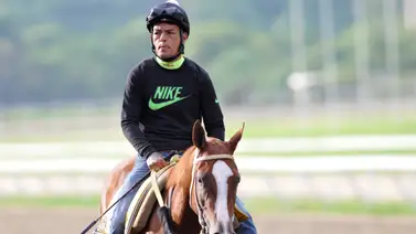 Conoce el ejemplar favorito de Johan Aranguren que busca repetir triunfo en La Rinconada (+Video) Conoce el ejemplar favorito de Johan Aranguren que busca repetir triunfo en La Rinconada (+Video)