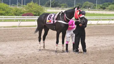 Una segunda oportunidad en el año recibe esta gran favorita que busca una nueva victoria luego de más de dos años sin ganar Una segunda oportunidad en el año recibe esta gran favorita que busca una nueva victoria luego de más de dos años sin ganar
