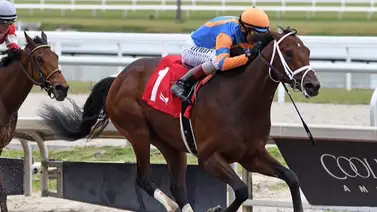 John Velazquez lleva hijo de Curlin este jueves que sorprendió en su debut en Gulfstream Park John Velazquez lleva hijo de Curlin este jueves que sorprendió en su debut en Gulfstream Park