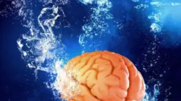 ¿El cerebro requiere limpiarse mientras duermes? Conoce los detalles científicos 