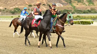 Este ejemplar que es la gran opción de Gaceta Hípica tuvo un cómodo ajuste para el 5y6 dominical Este ejemplar que es la gran opción de Gaceta Hípica tuvo un cómodo ajuste para el 5y6 dominical