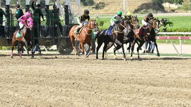 Ejemplares en carrera en la arena caraqueña.