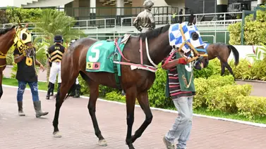 Conoce el primer retirado del 5y6 de la reunión 7 en La Rinconada Conoce el primer retirado del 5y6 de la reunión 7 en La Rinconada