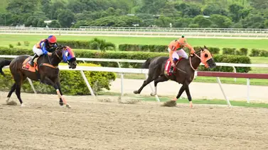 Este ejemplar con ajuste cómodo puede convertirse en el soberano batacazo de las no válidas de la R07 Este ejemplar con ajuste cómodo puede convertirse en el soberano batacazo de las no válidas de la R07