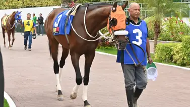 La carrera de los acumulados trae consigo un ejemplar que como ajustó puede sorprender a más de uno en el 5y6 La carrera de los acumulados trae consigo un ejemplar que como ajustó puede sorprender a más de uno en el 5y6