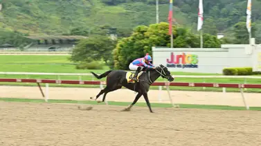 No te olvides de este ejemplar que da por video y podría vencer a las grandes favoritas en La Rinconada No te olvides de este ejemplar que da por video y podría vencer a las grandes favoritas en La Rinconada