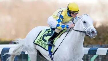 Este jockey venezolano es uno de los más ganadores del Gothan Stakes G3 en este siglo Este jockey venezolano es uno de los más ganadores del Gothan Stakes G3 en este siglo