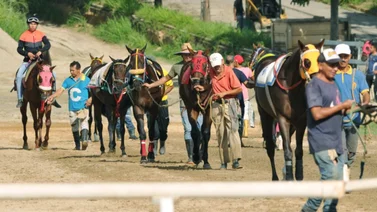 Ejemplares con los traqueadores durante la jonrada de ajuste en la pista de La Rinconada.