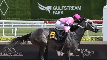 Jockey criollo lleva dos victorias en cuatro compromisos luego de 17 montas sin ganar Jockey criollo lleva dos victorias en cuatro compromisos luego de 17 montas sin ganar