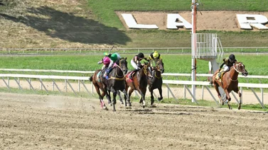 En carrera que a última hora se complica por la cantidad de datos esta yegua ajusta cómoda y se convierte en digna rival a vencer en el 5y6 dominical