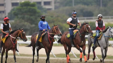 Ejemplares con los traqueadores durante la jonrada de ajuste en la pista de La Rinconada.