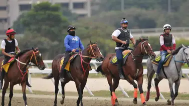 Ejemplares con los traqueadores durante la jonrada de ajuste en la pista de La Rinconada. Ejemplares con los traqueadores durante la jonrada de ajuste en la pista de La Rinconada.