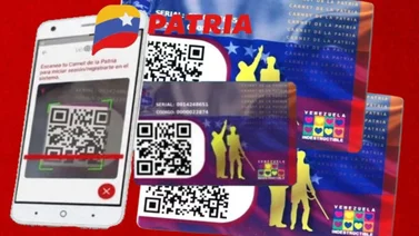 Sistema Patria