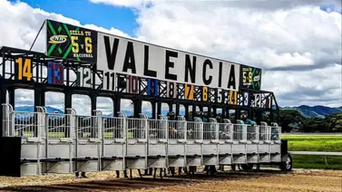Datos de última hora para el Hipódromo Nacional de Valencia 1-3-2025 Datos de última hora para el Hipódromo Nacional de Valencia 1-3-2025