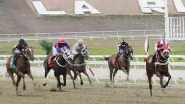 Datos de última hora para el Hipódromo Internacional La Rinconada 2-3-2025 Datos de última hora para el Hipódromo Internacional La Rinconada 2-3-2025