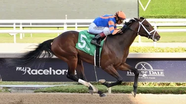 Hijo de Curlin se mantiene invicto con John Velázquez en Gulfstream Park