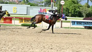 Como ajustó este ejemplar puede sorprender con un buen dividendo en la R07 de La Rinconada Como ajustó este ejemplar puede sorprender con un buen dividendo en la R07 de La Rinconada