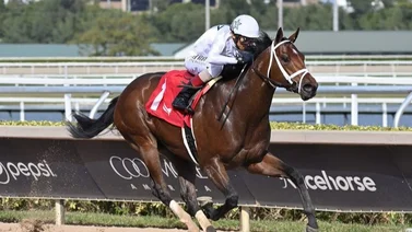 Este es el caballo más fijo para ganar el Fountain of Youth G2 en Gulfstream Park este sábado 1 de marzo