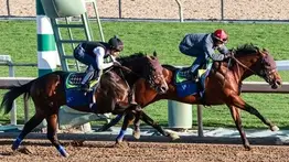 Sepa Quién paga mejor entre Barnes o Rodríguez de ganar el San Felipe Stakes este 1 de marzo