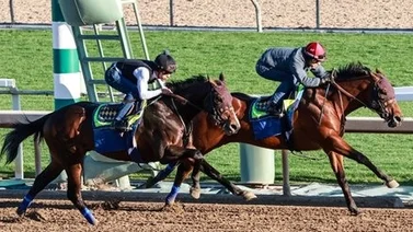 Sepa Quién paga mejor entre Barnes o Rodríguez de ganar el San Felipe Stakes este 1 de marzo