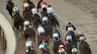 Estos son los meetings de Estados Unidos que finalizan temporada en el mes de marzo Estos son los meetings de Estados Unidos que finalizan temporada en el mes de marzo