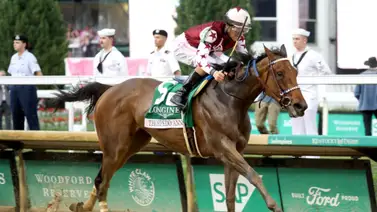 Medio hermano de Caballo del Año en Estados Unidos buscará sorprender este sábado en el Gothan Stakes Medio hermano de Caballo del Año en Estados Unidos buscará sorprender este sábado en el Gothan Stakes