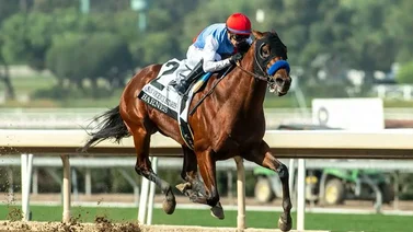 Conozca porqué el nieto de American Pharoah que costó 3.2 millones de dólares se llama Barnes