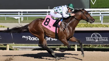 Junior Alvarado brilló el viernes en Gulfstream Park con una victoria memorable