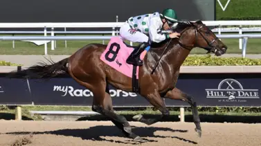 Junior Alvarado brilló el viernes en Gulfstream Park con una victoria memorable Junior Alvarado brilló el viernes en Gulfstream Park con una victoria memorable