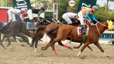 Yegua destaca con uno de los mejores ajustes para la R07 el domingo en La Rinconada Yegua destaca con uno de los mejores ajustes para la R07 el domingo en La Rinconada