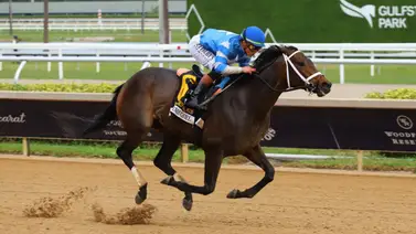 Dominio absoluto: Irad Ortiz Jr. firma un sólido "grand slam" y mantiene el liderato en Gulfstream Park Dominio absoluto: Irad Ortiz Jr. firma un sólido "grand slam" y mantiene el liderato en Gulfstream Park