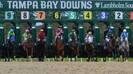Jinetes venezolanos acaparan el último Pick 4 del domingo en Tampa Bay Downs