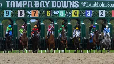 Jinetes venezolanos acaparan el último Pick 4 del domingo en Tampa Bay Downs Jinetes venezolanos acaparan el último Pick 4 del domingo en Tampa Bay Downs