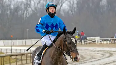 Mychel Sánchez con Mailata candidato firme para ganar el Withers Stakes en la Ruta al Kentucky Derby G1 Mychel Sánchez con Mailata candidato firme para ganar el Withers Stakes en la Ruta al Kentucky Derby G1