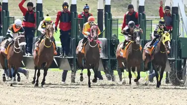 Nómina de lujo: La Condicional Especial de yeguas centra la atención en La Rinconada Nómina de lujo: La Condicional Especial de yeguas centra la atención en La Rinconada